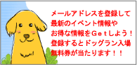 ���[���A�h���X�����o�^����ƁA�h�b�O�������ꖳ������������܂��I�I�B